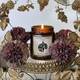 LA BAYADERE - Scented candle white glass - Sandalwood and patchouli - 6 units minimum