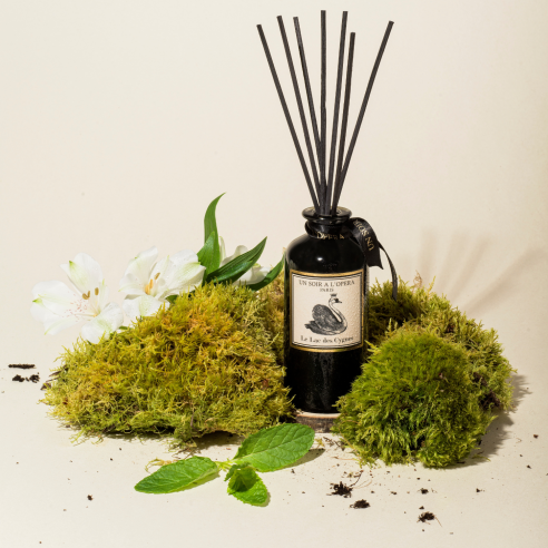 Home reed diffuser Swan Lake